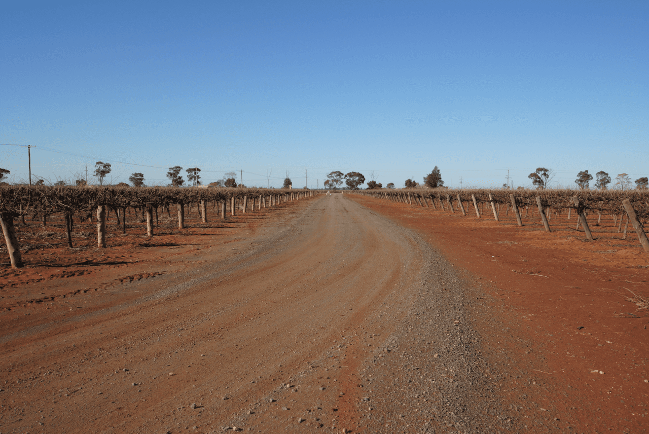 Part Farm 554 McDonald Road, BILBUL, NSW 2680