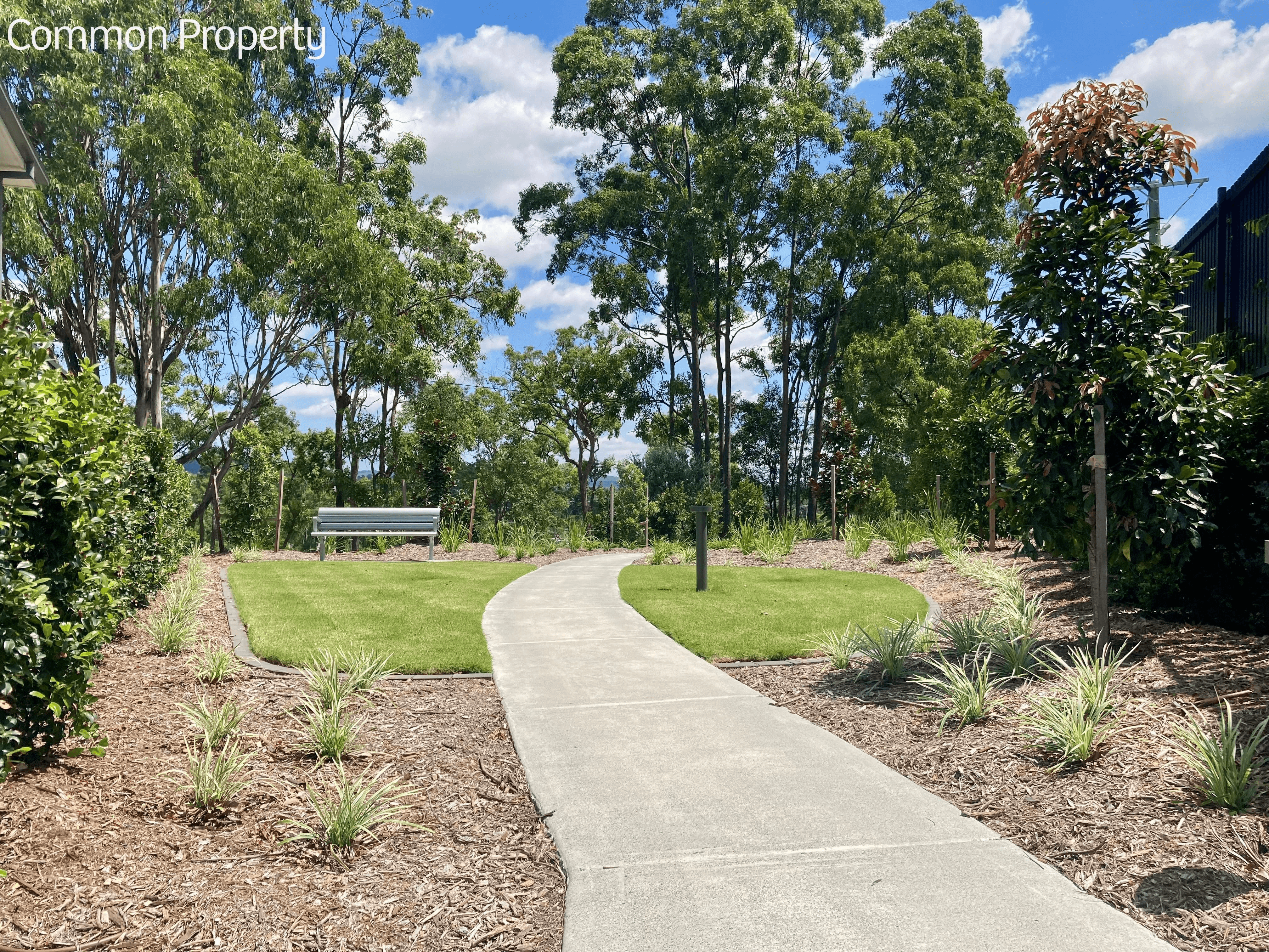 85/19 Whittley Court, PIMPAMA, QLD 4209