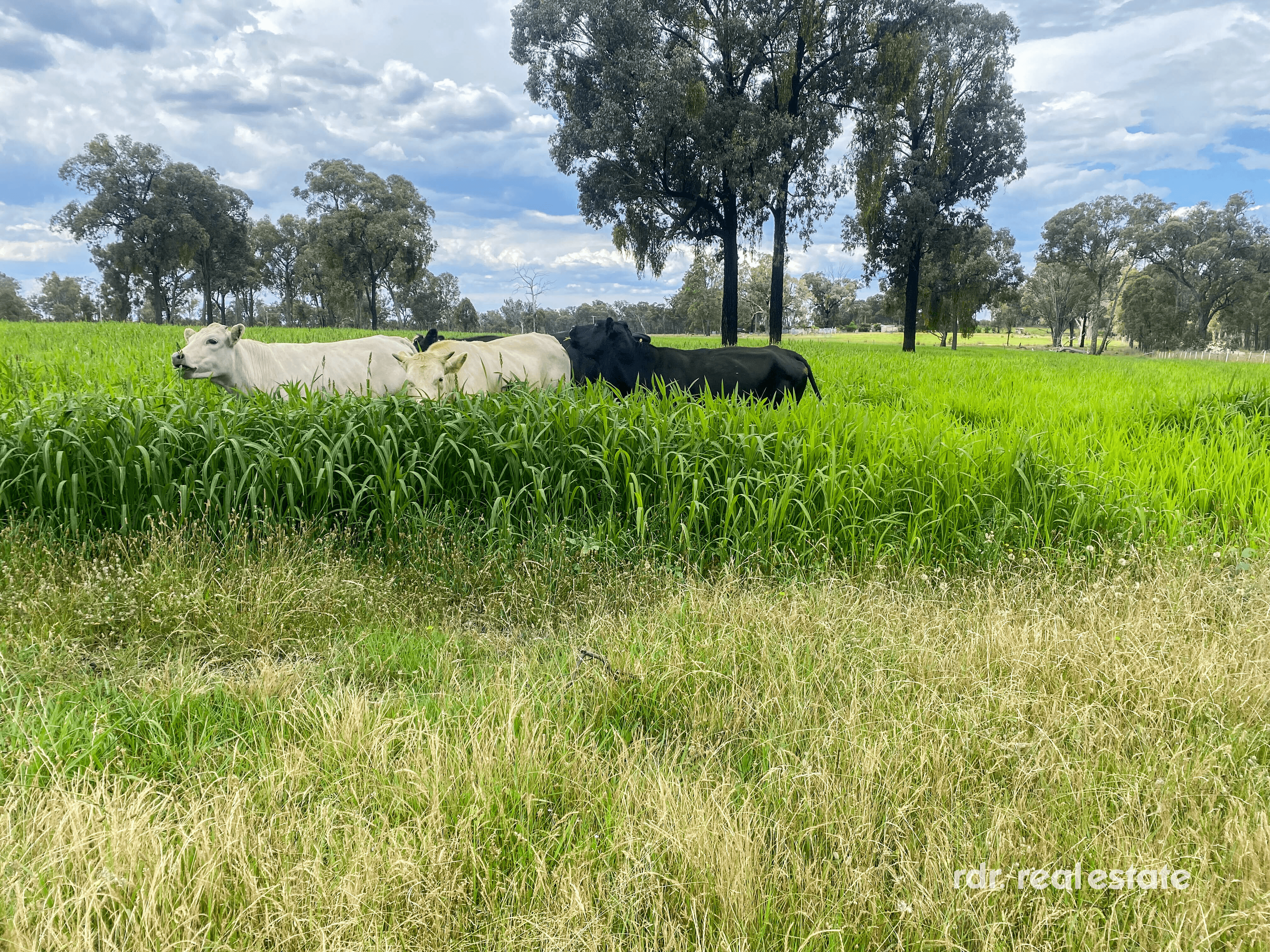 200 Aberdeen Road, Inverell, NSW 2360