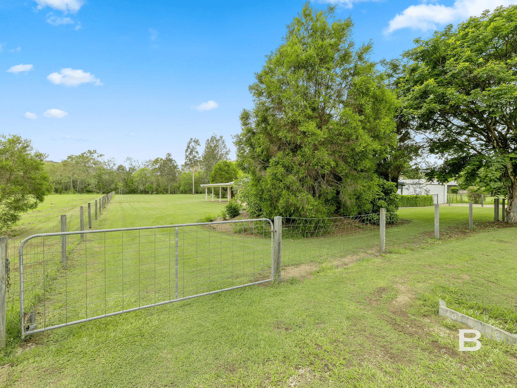 19 Nardoo Street, FERNVALE, QLD 4306