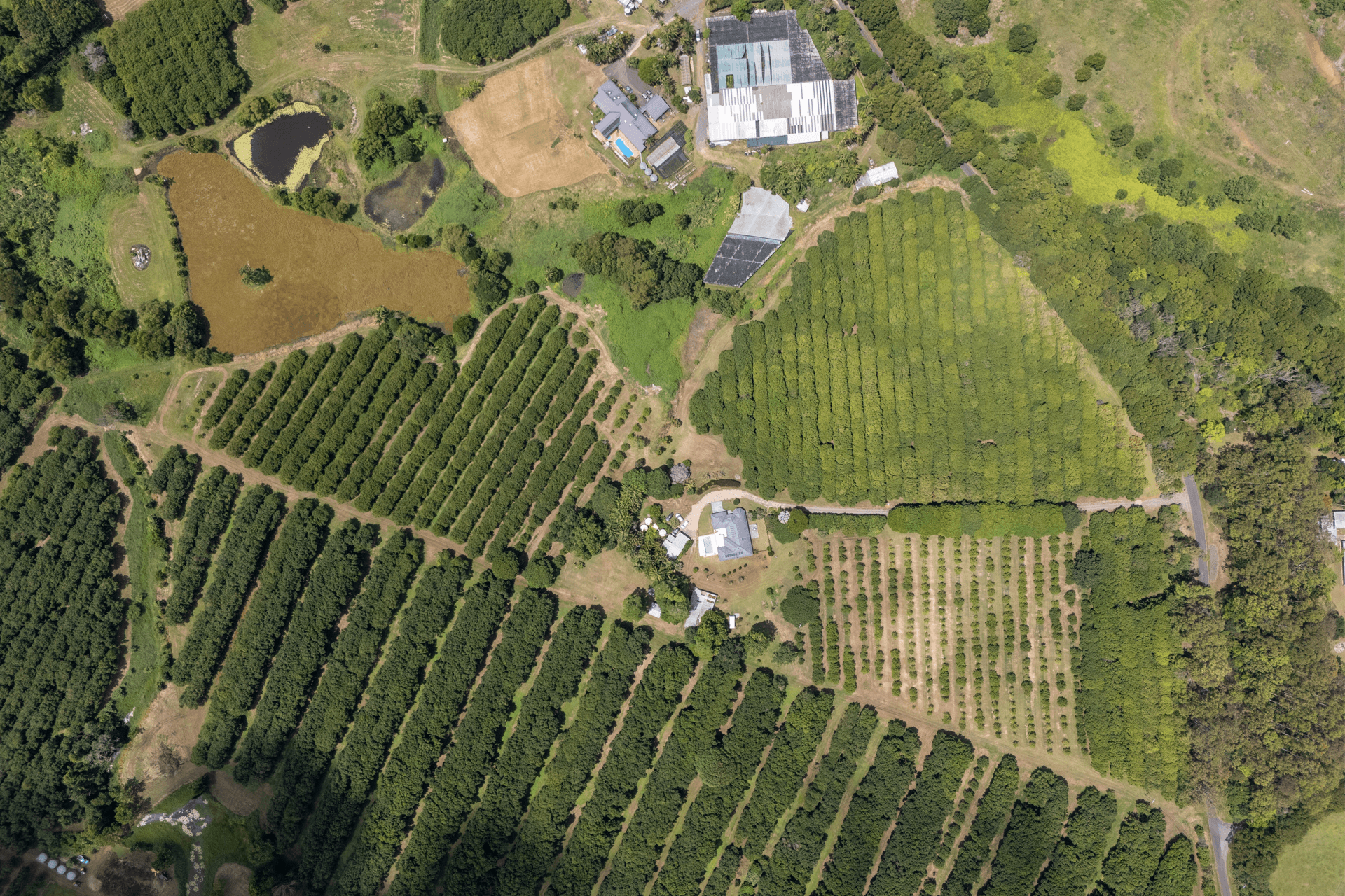 410 Houghlahans Creek Road, Fernleigh, NSW 2479