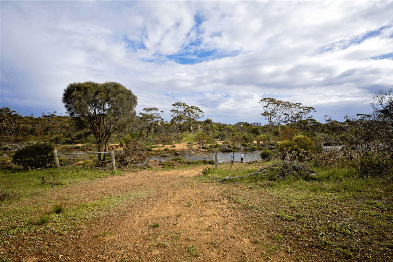 Lot 170 South Coast Highway, RAVENSTHORPE, WA 6346