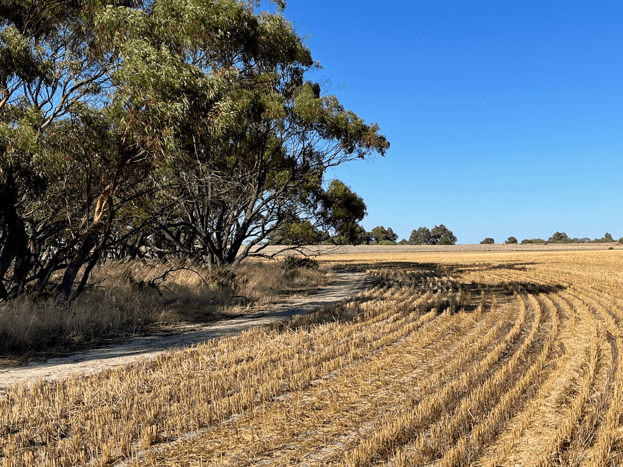 . 'Charm Hill', DOWERIN, WA 6461