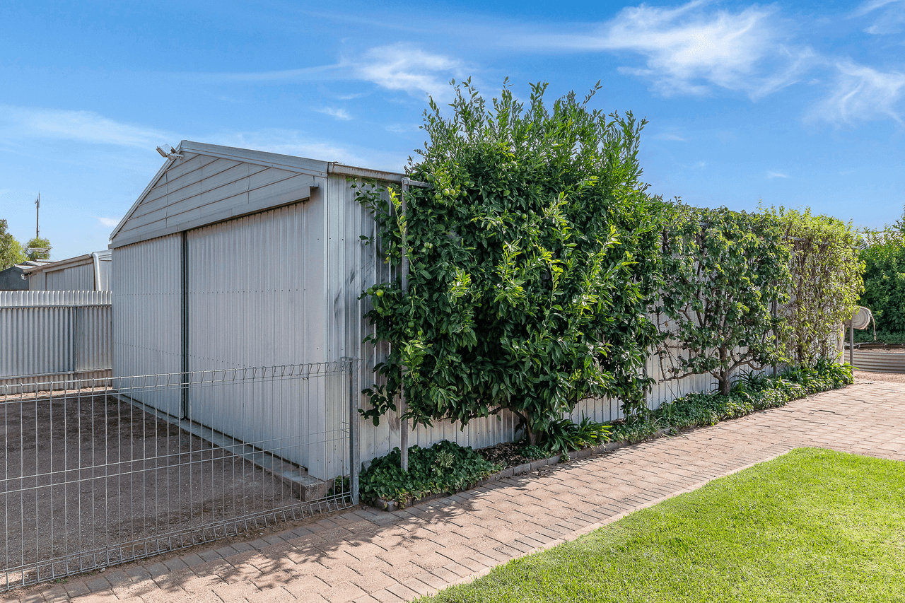 8 Acacia Street, MURRAY BRIDGE, SA 5253