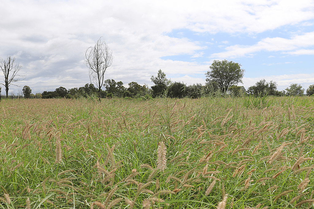 1714  Mundubbera Durong Road, DERRI DERRA, QLD 4626