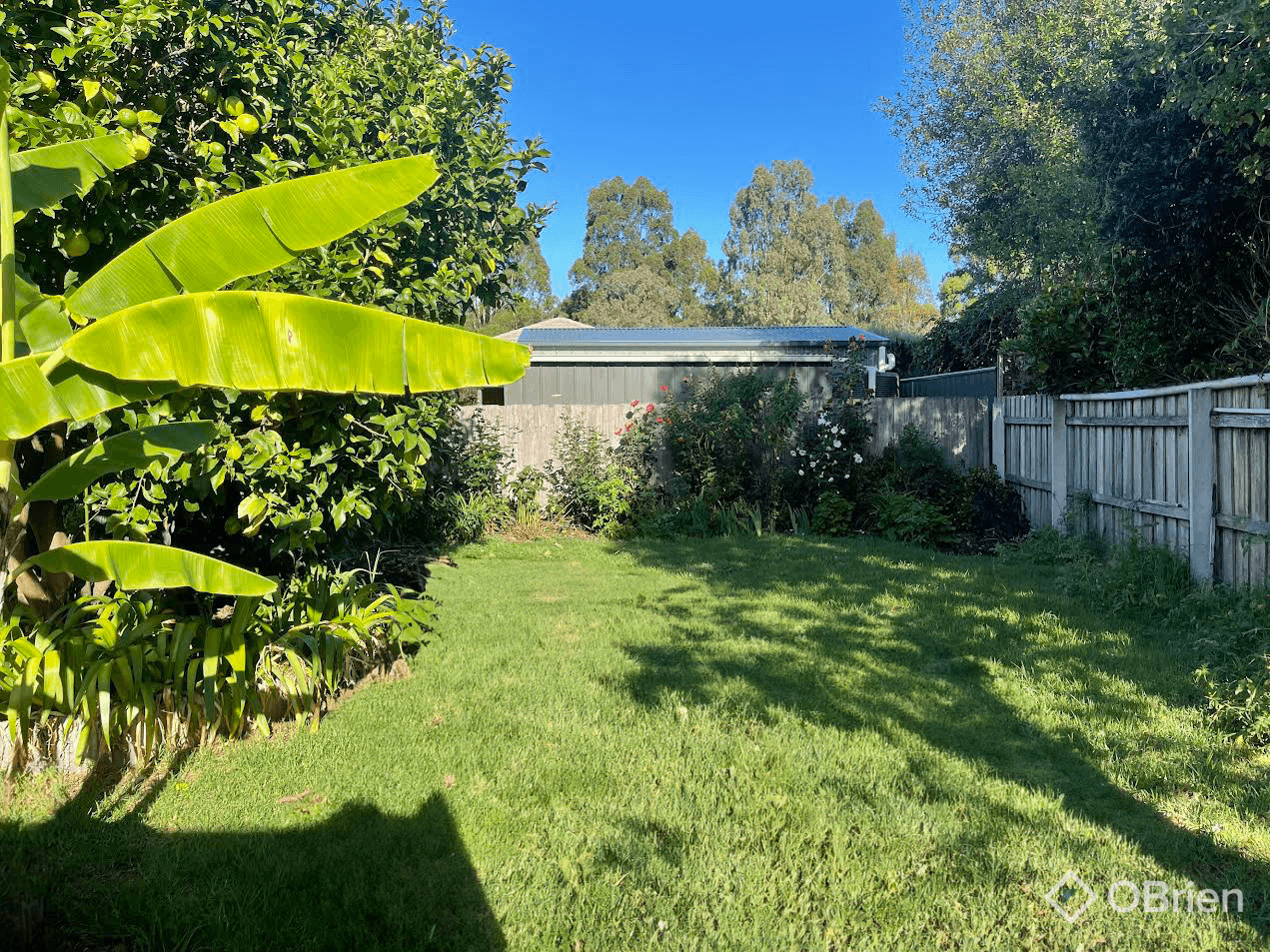 31 Balmoral Crescent, Eastwood, VIC 3875