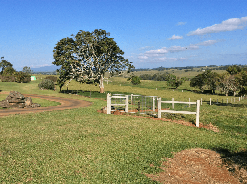 259 Upper Barron Road, UPPER BARRON, QLD 4883