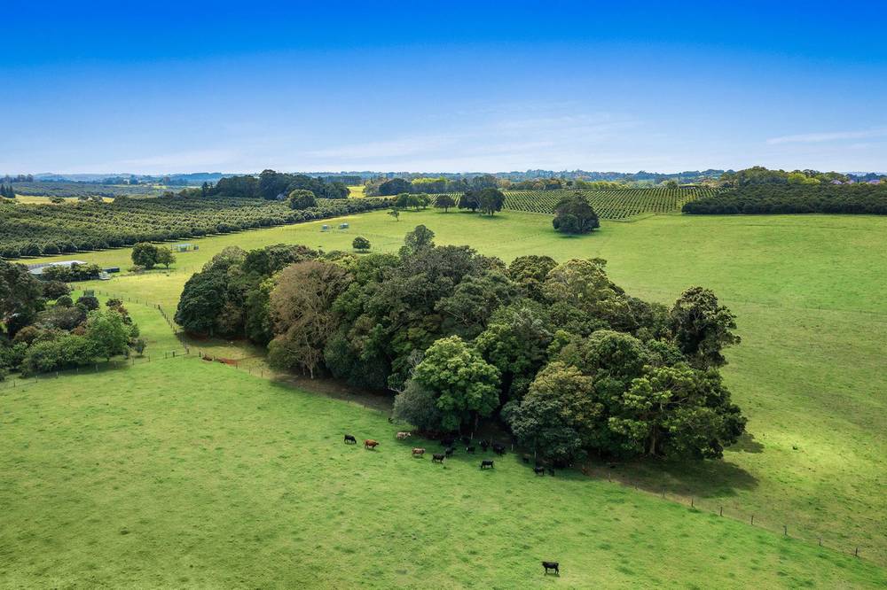 171 Whites Lane, Alstonville, NSW 2477