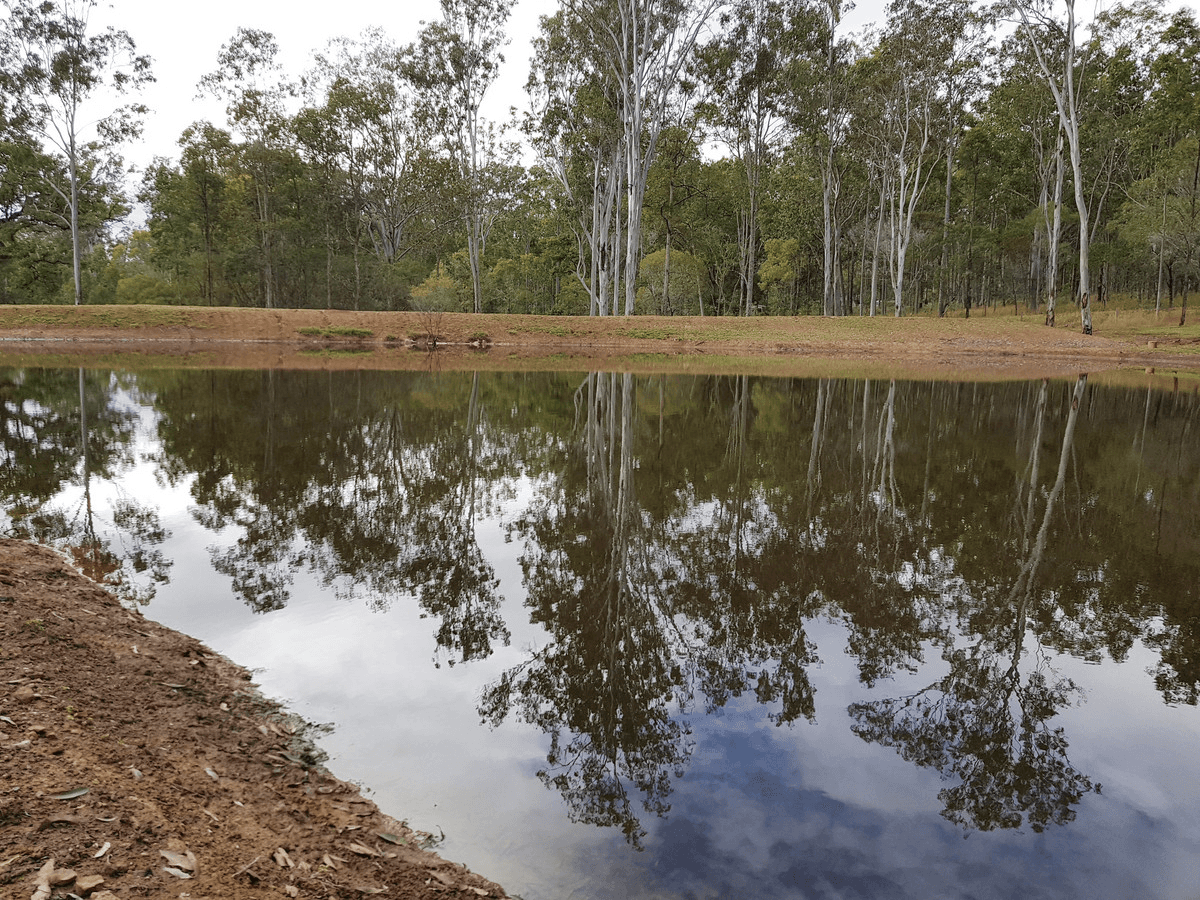 332 Whiteman Creek Road, Mylneford, NSW 2460