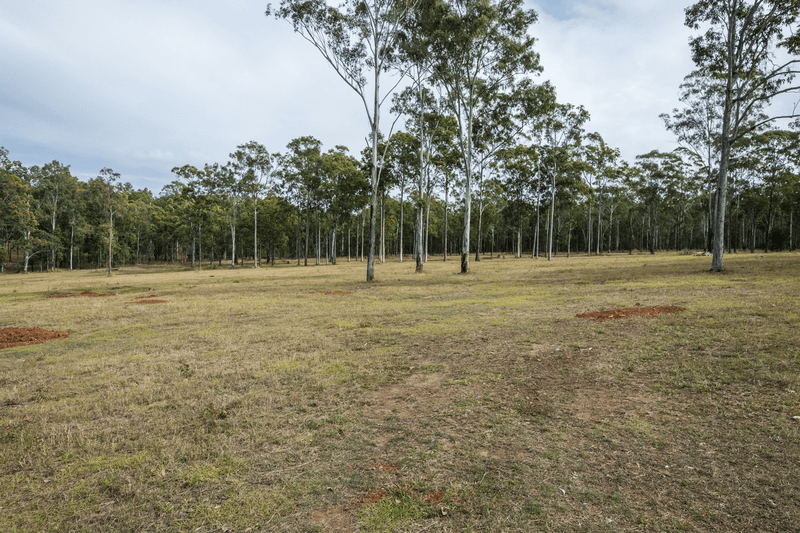 332 Whiteman Creek Road, Mylneford, NSW 2460