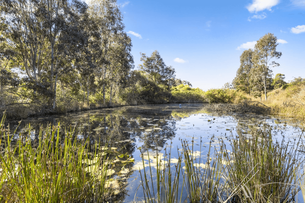 43 Whitton Place, MULLAWAY, NSW 2456