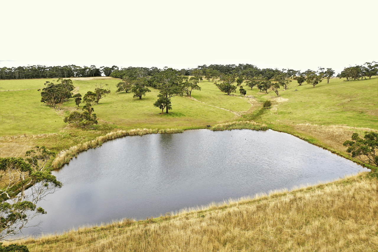 128 Murfitts Road, SCOTTS CREEK, VIC 3267