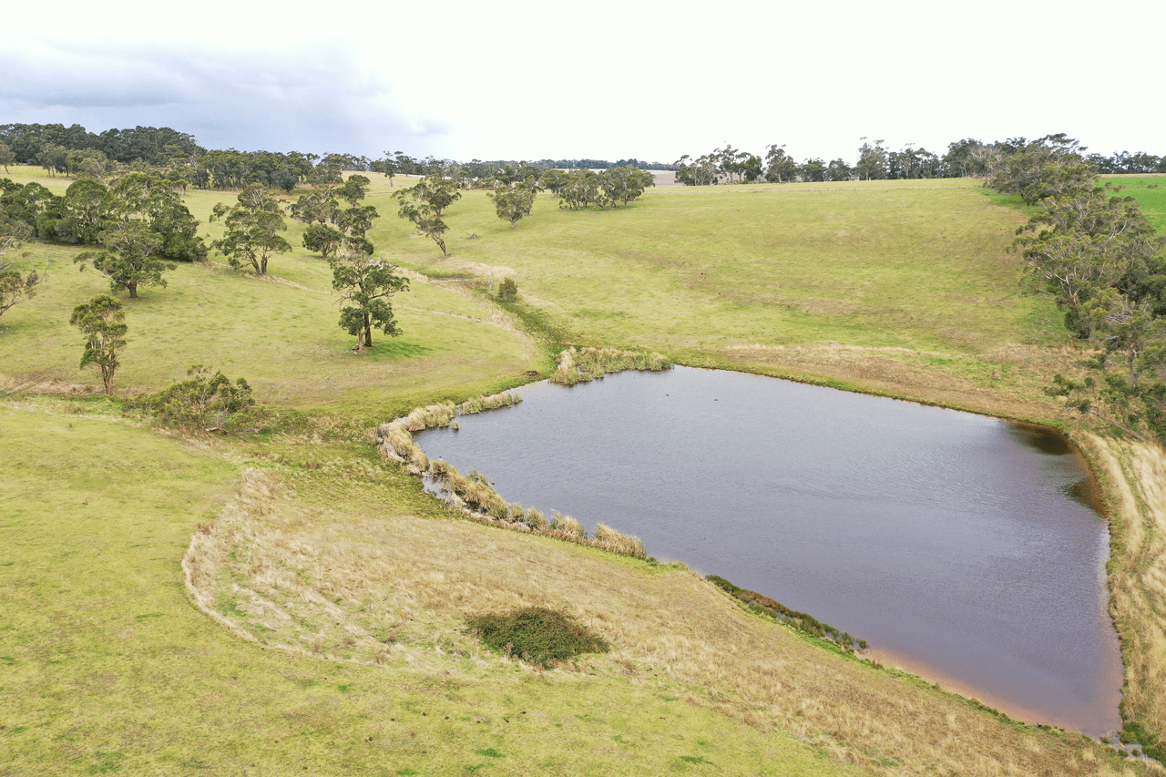 128 Murfitts Road, SCOTTS CREEK, VIC 3267