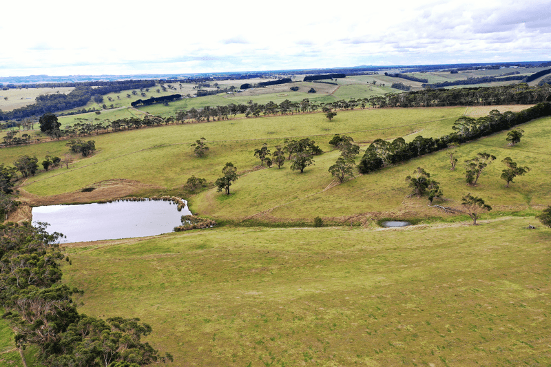 128 Murfitts Road, SCOTTS CREEK, VIC 3267