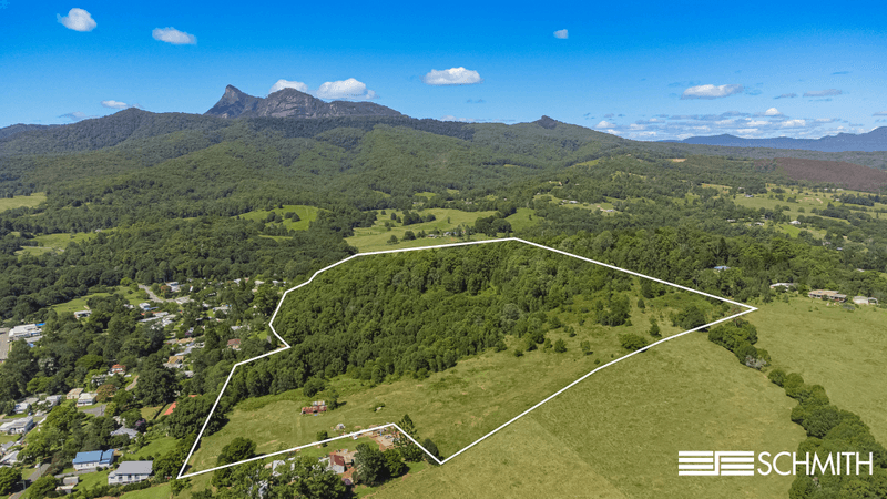 20 Brays Creek Road, TYALGUM, NSW 2484