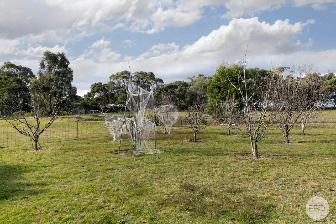 116 Dereel-Rokewood Junction Road, DEREEL, VIC 3352