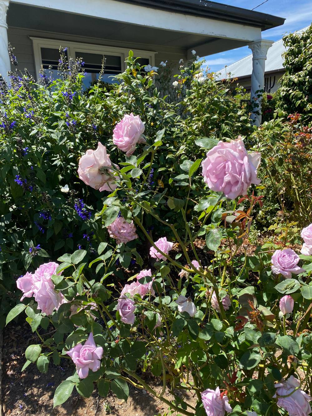 109 CLUNES ROAD, CRESWICK, VIC 3363