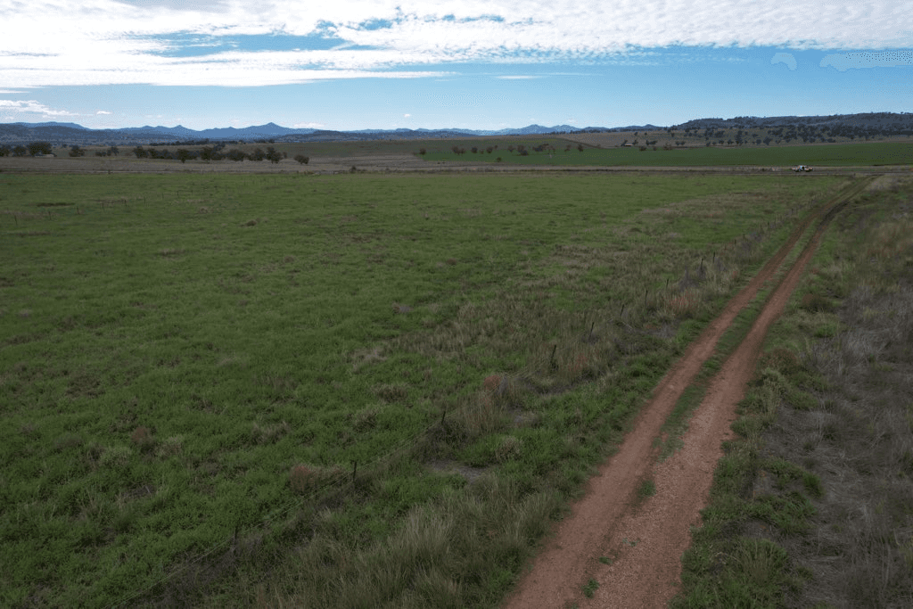 6201 Scone Road, MERRIWA, NSW 2329