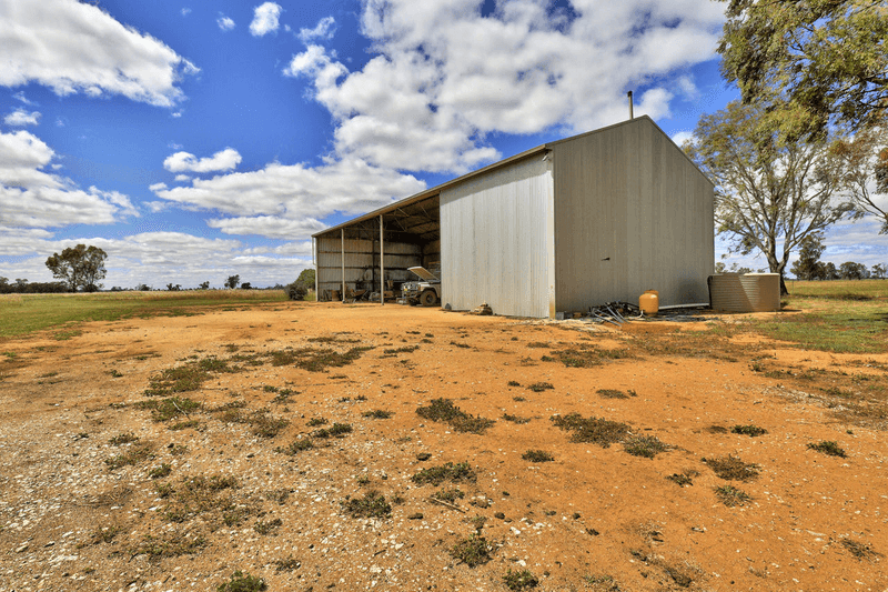 369 Carrigan Road, DENILIQUIN, NSW 2710