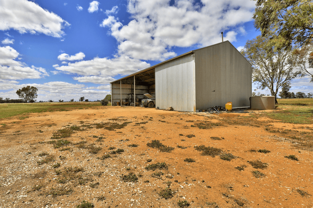 369 Carrigan Road, DENILIQUIN, NSW 2710