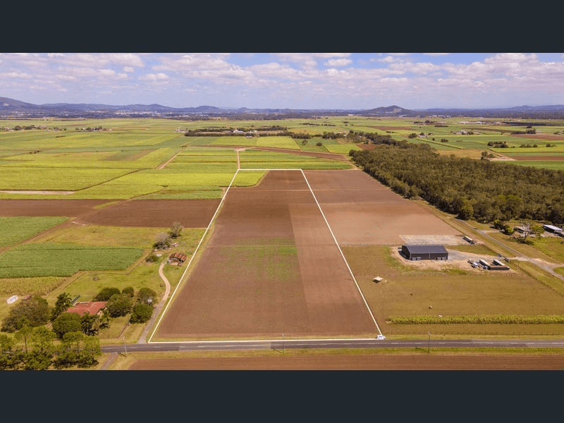 66 New Norwell Road, Woongoolba, QLD 4207