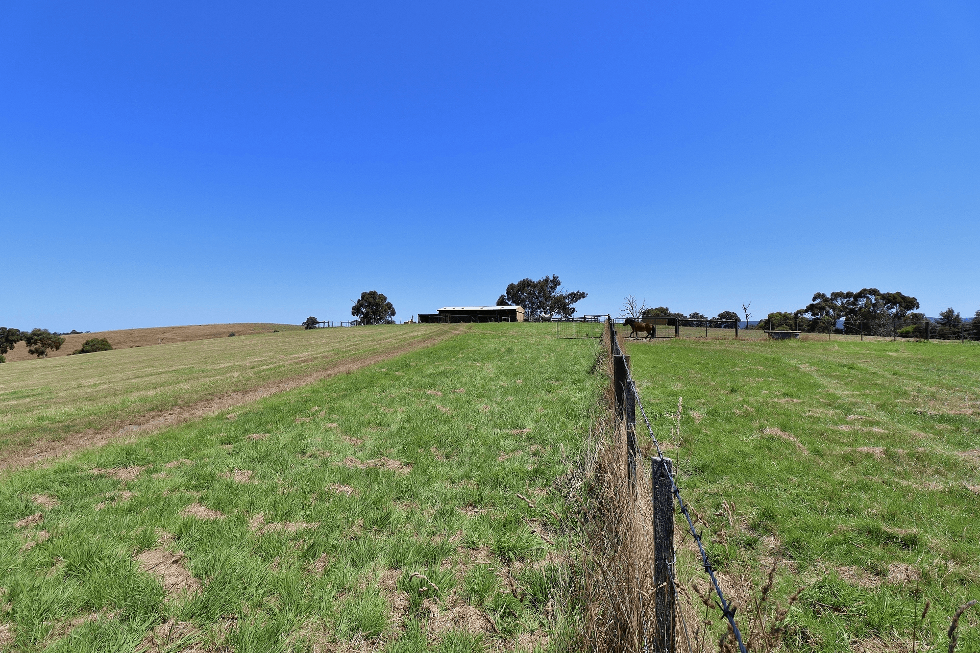 79 Pauls Lane, Dixons Creek, VIC 3775