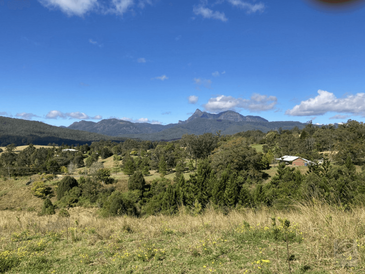 Lot 2 Limpinwood Road, Limpinwood, NSW 2484