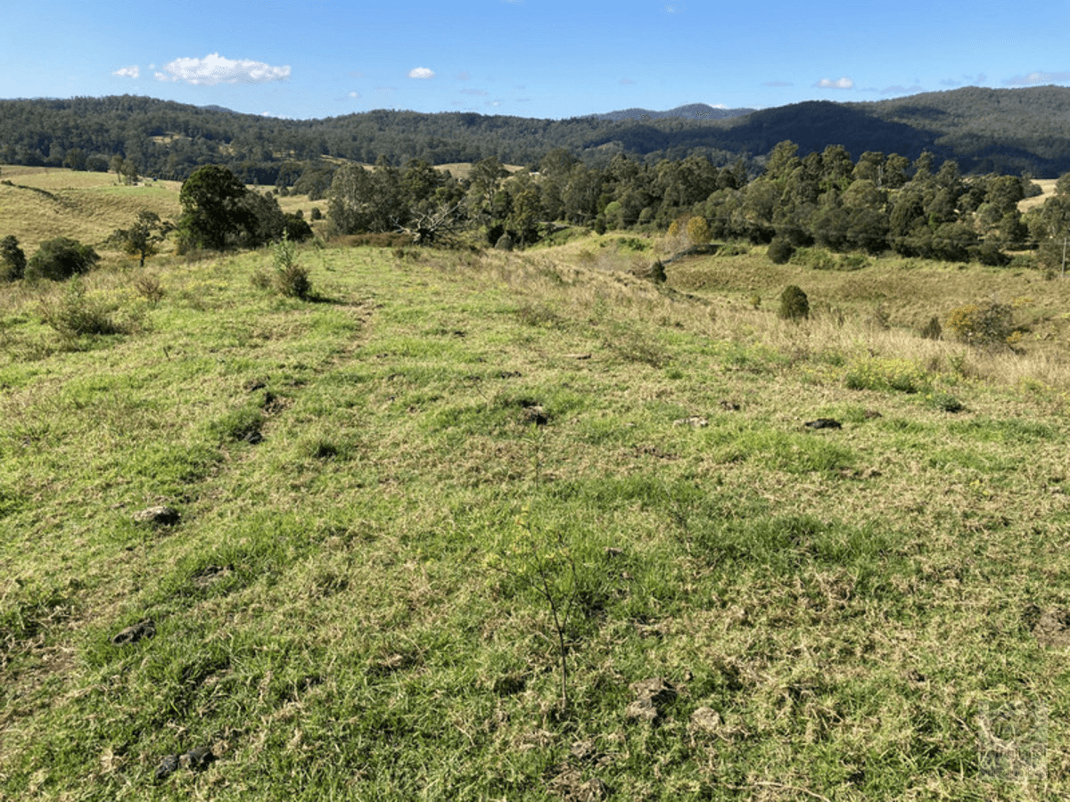 Lot 2 Limpinwood Road, Limpinwood, NSW 2484