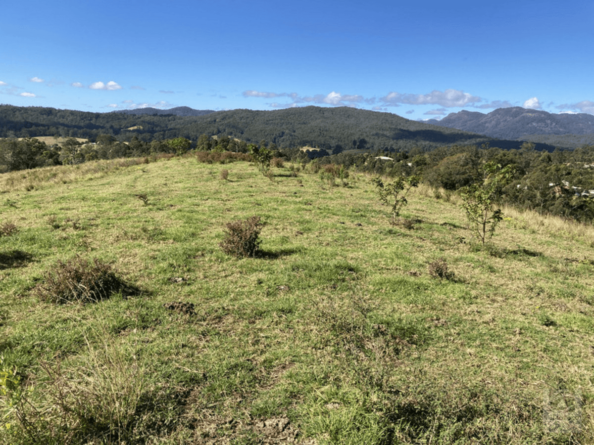 Lot 2 Limpinwood Road, Limpinwood, NSW 2484