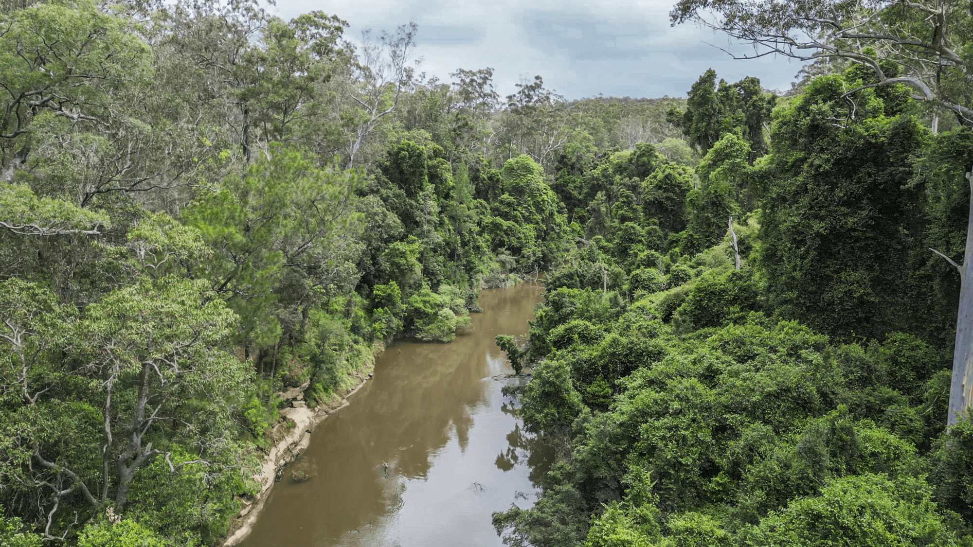 269 Blackbutt Road, KREMNOS, NSW 2460