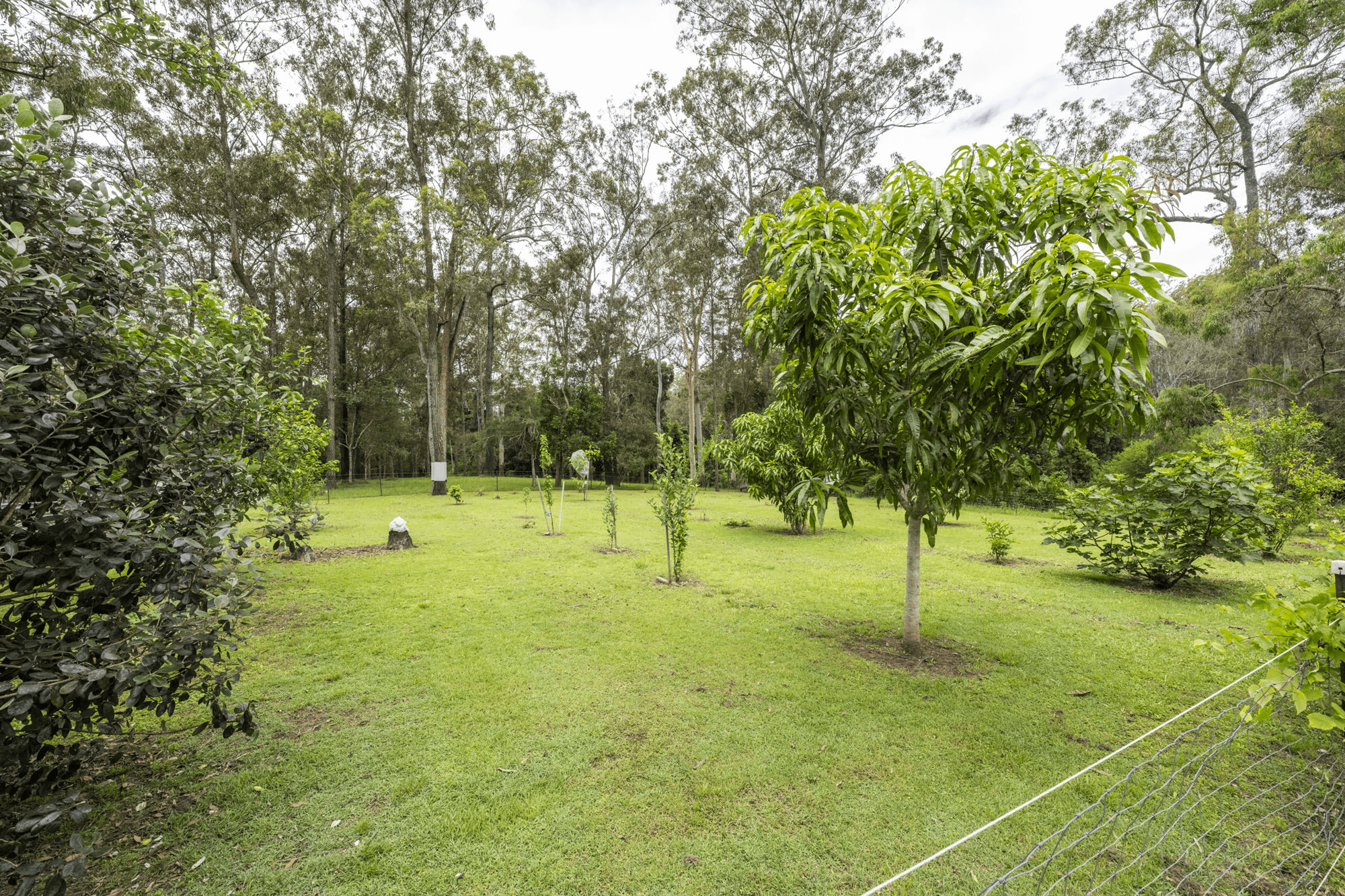 269 Blackbutt Road, KREMNOS, NSW 2460