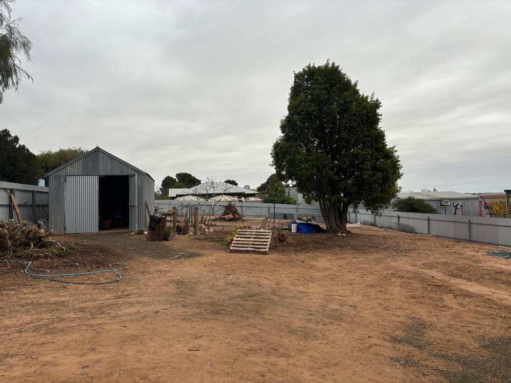 29 LASCELLES STREET, HOPETOUN, VIC 3396