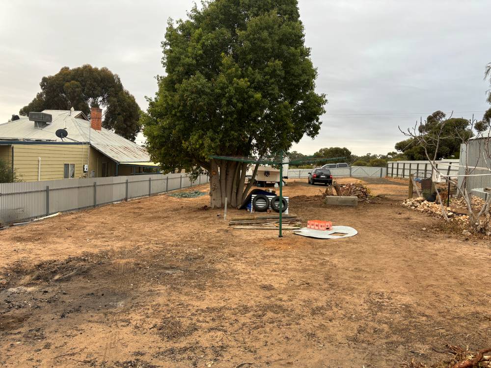 29 LASCELLES STREET, HOPETOUN, VIC 3396