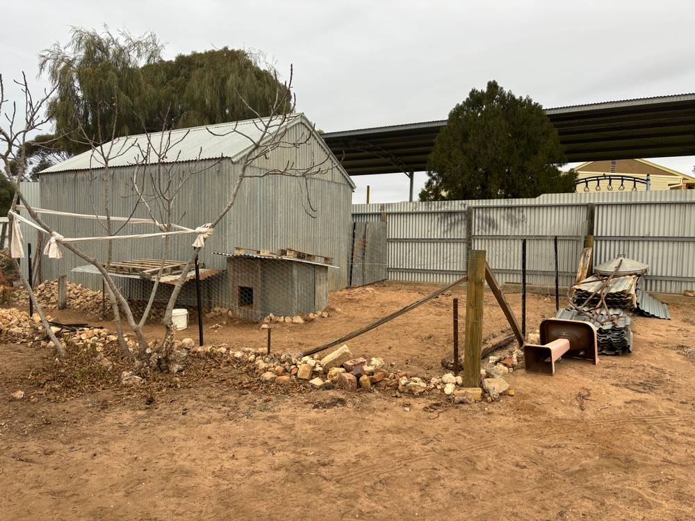 29 LASCELLES STREET, HOPETOUN, VIC 3396