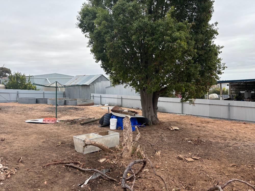 29 LASCELLES STREET, HOPETOUN, VIC 3396