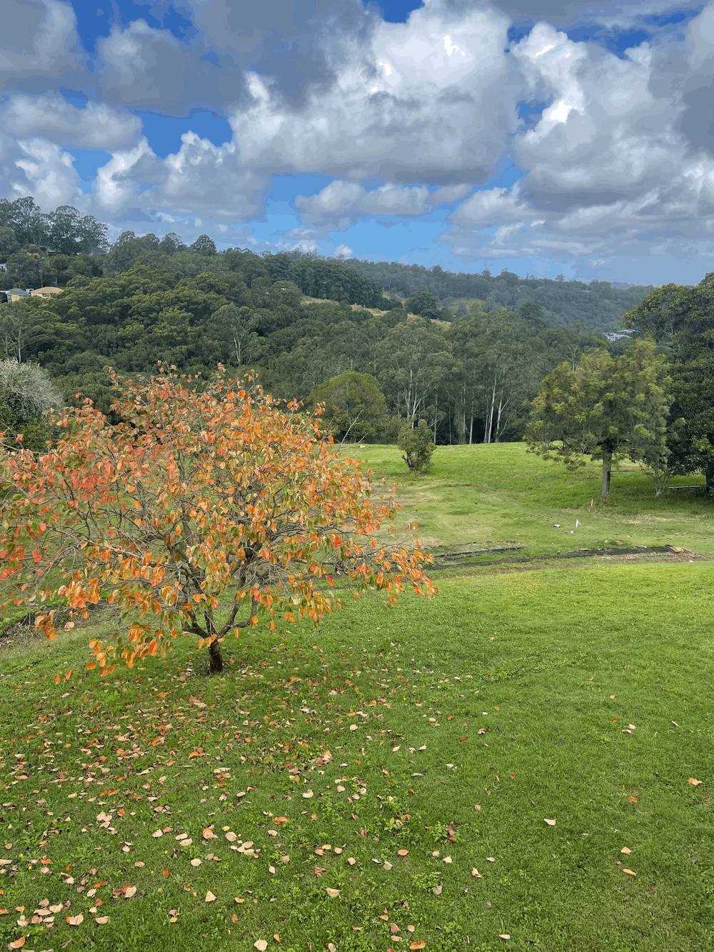 112 INVERCAULD ROAD, GOONELLABAH, NSW 2480