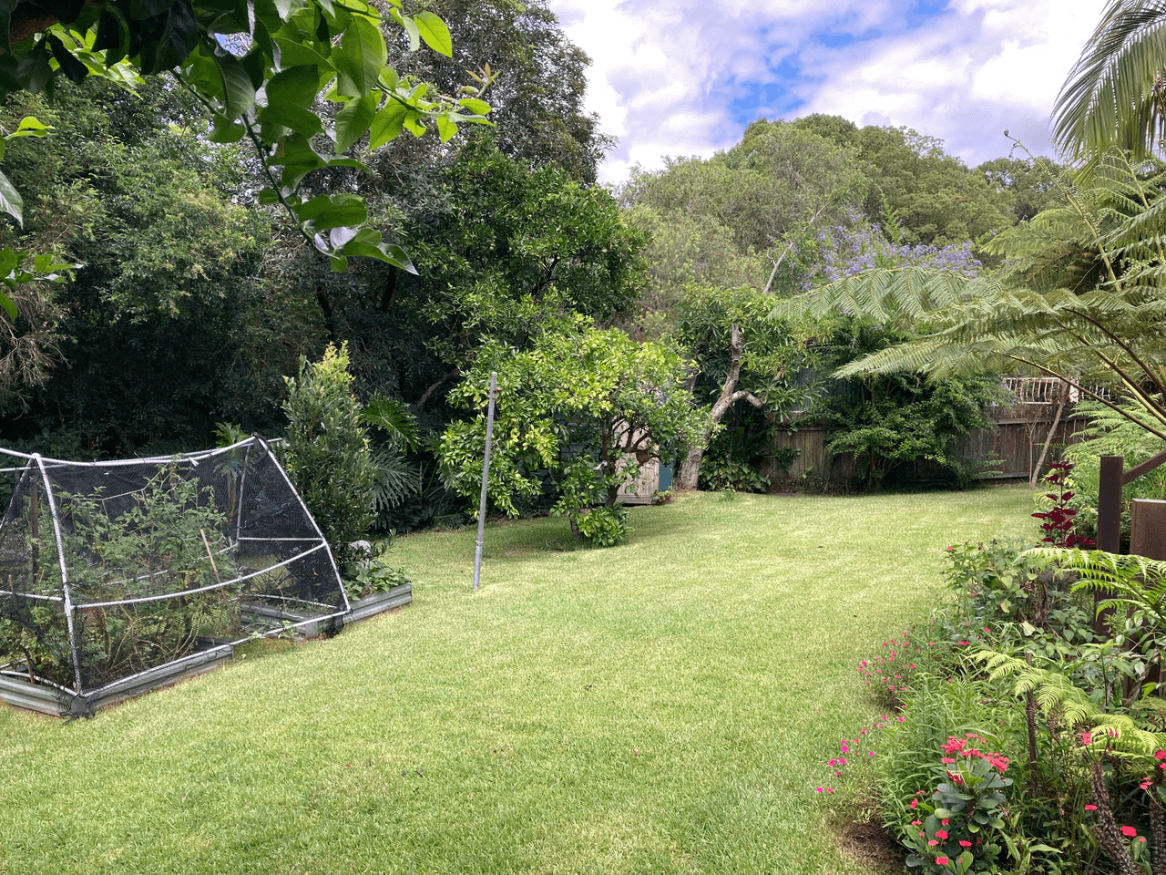 3 Halpin Street, BELLINGEN, NSW 2454