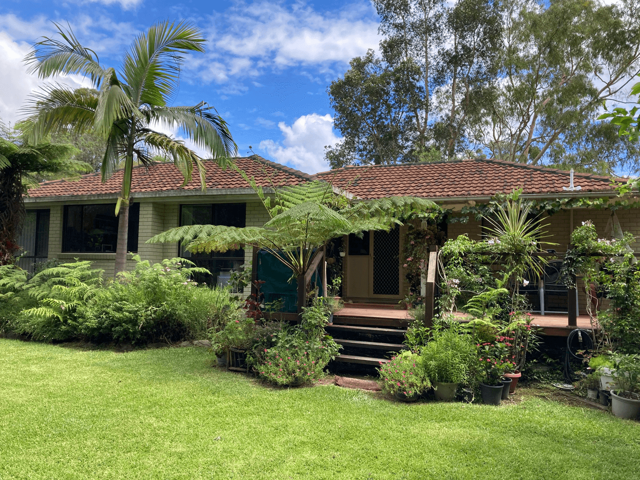 3 Halpin Street, BELLINGEN, NSW 2454