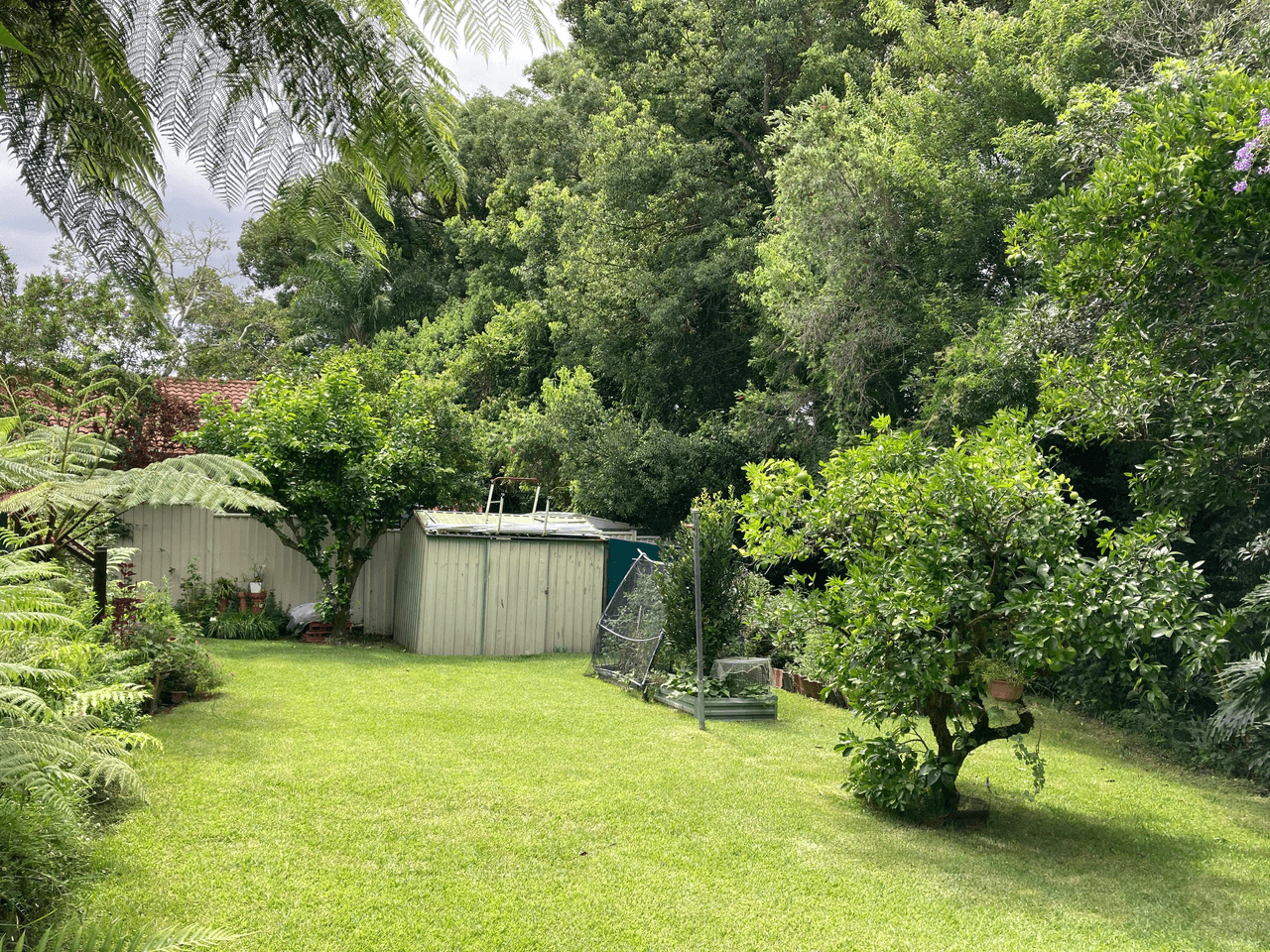 3 Halpin Street, BELLINGEN, NSW 2454