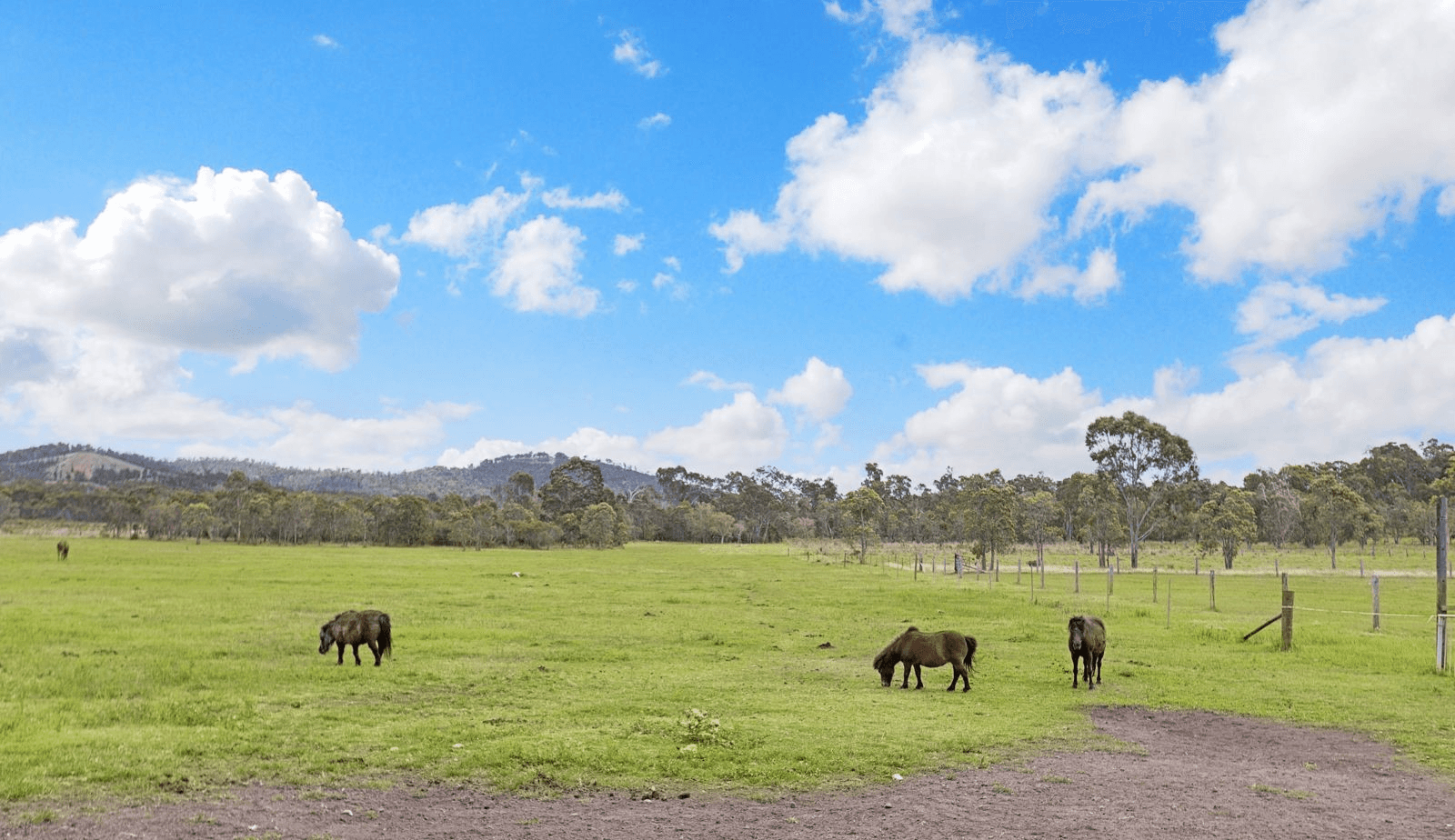 289 Woodbury Road, BUNGUNDARRA, QLD 4703