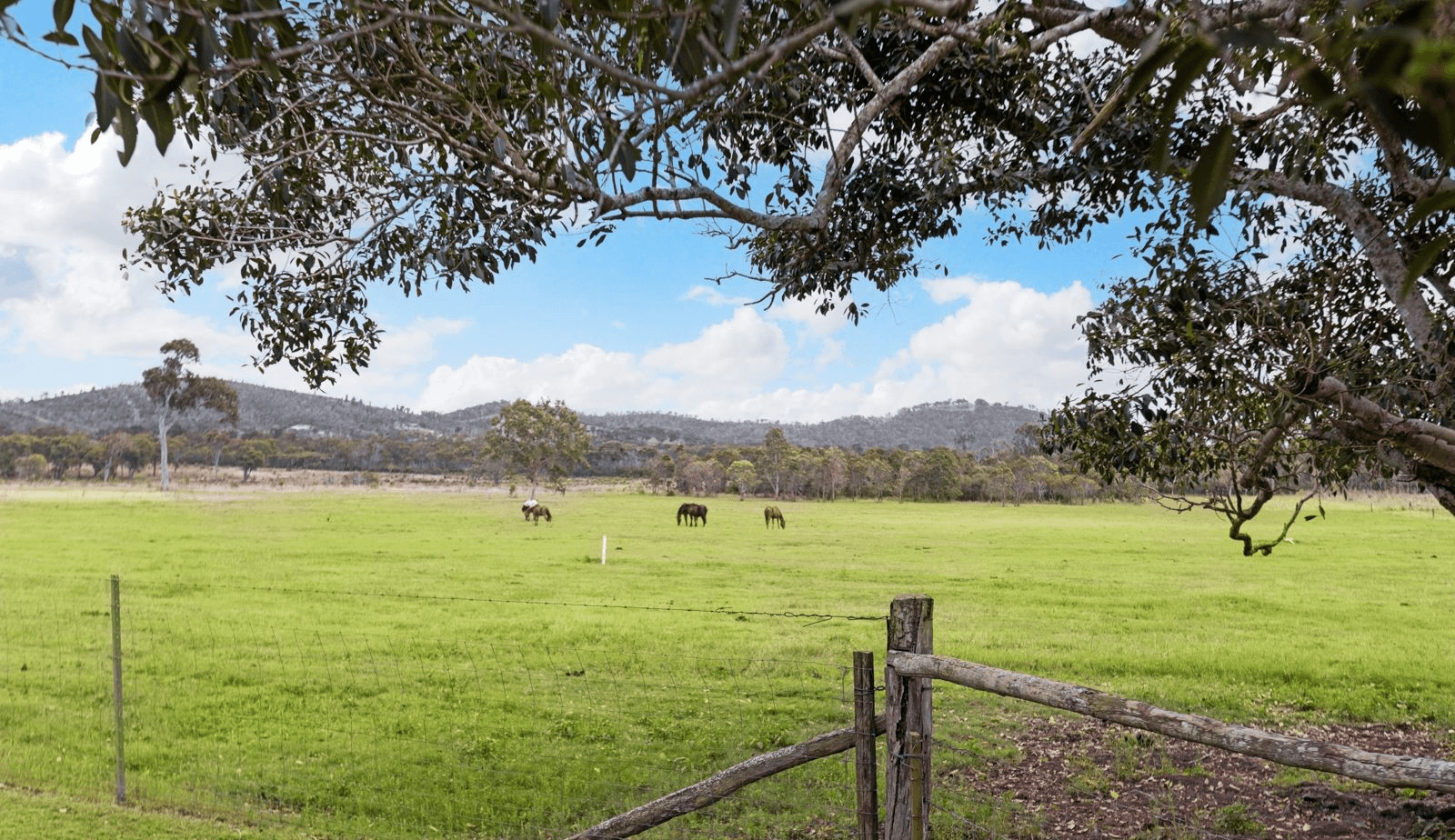 289 Woodbury Road, BUNGUNDARRA, QLD 4703