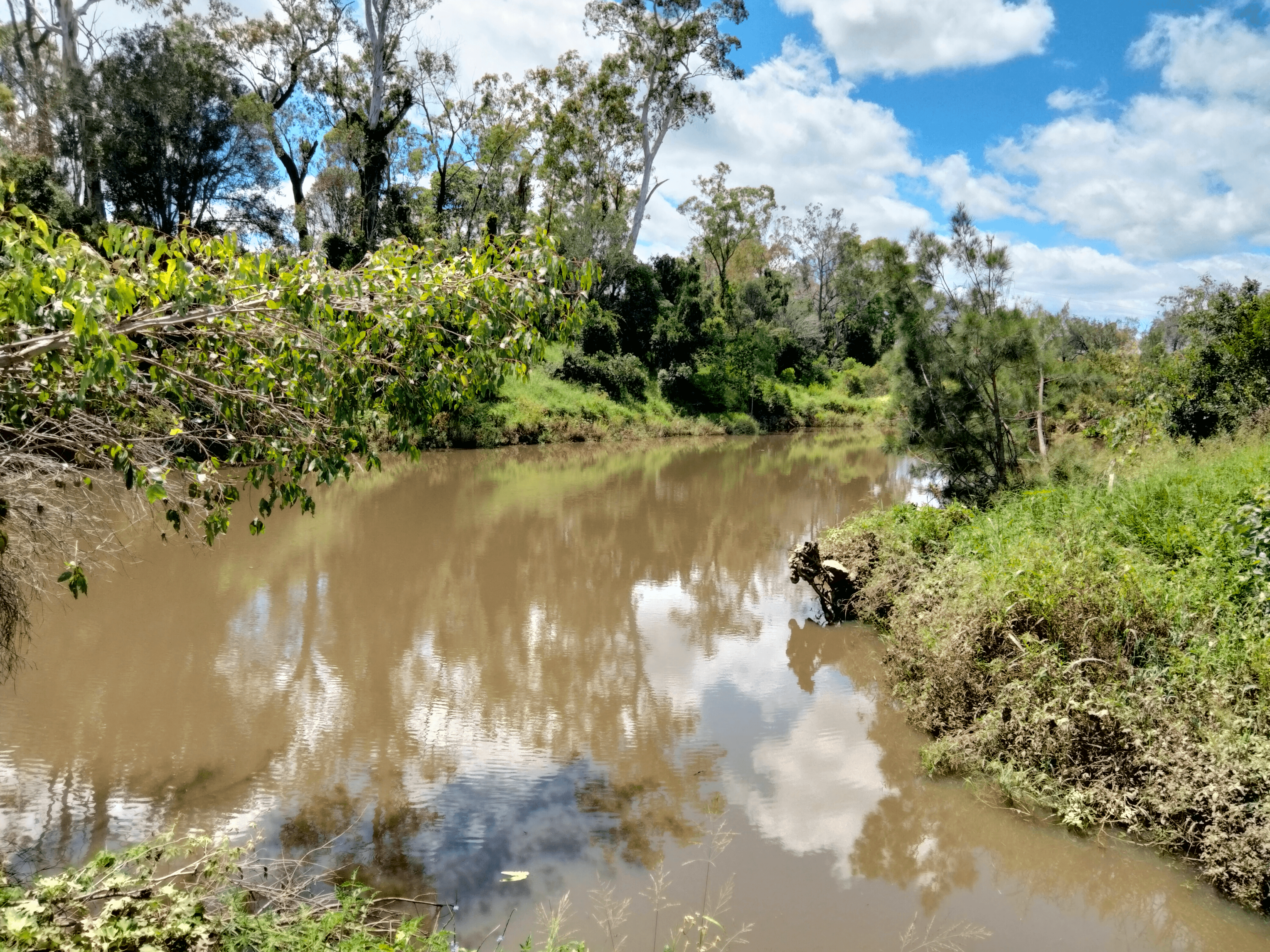 83 Hofsetter Road, MORGANVILLE, QLD 4671