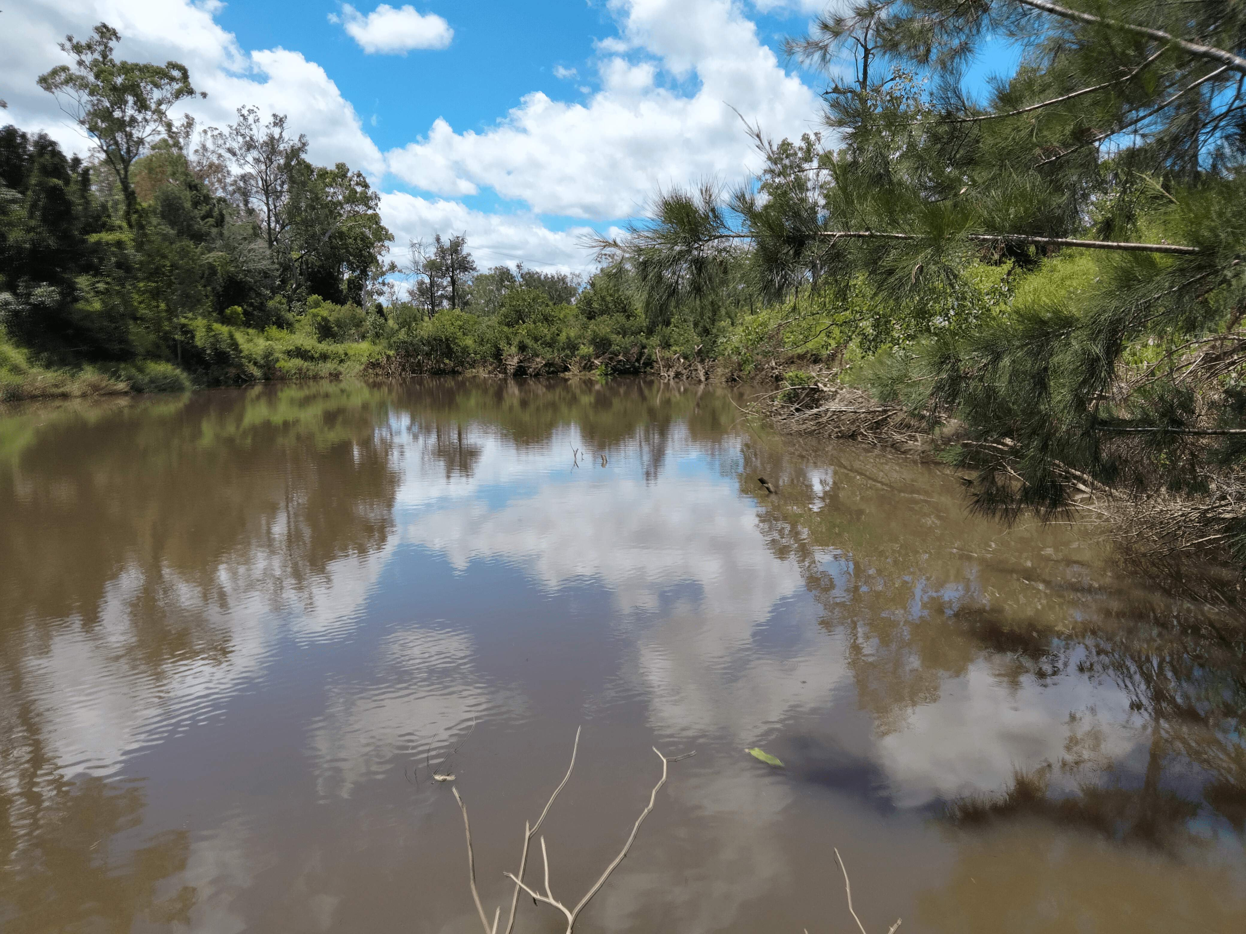 83 Hofsetter Road, MORGANVILLE, QLD 4671