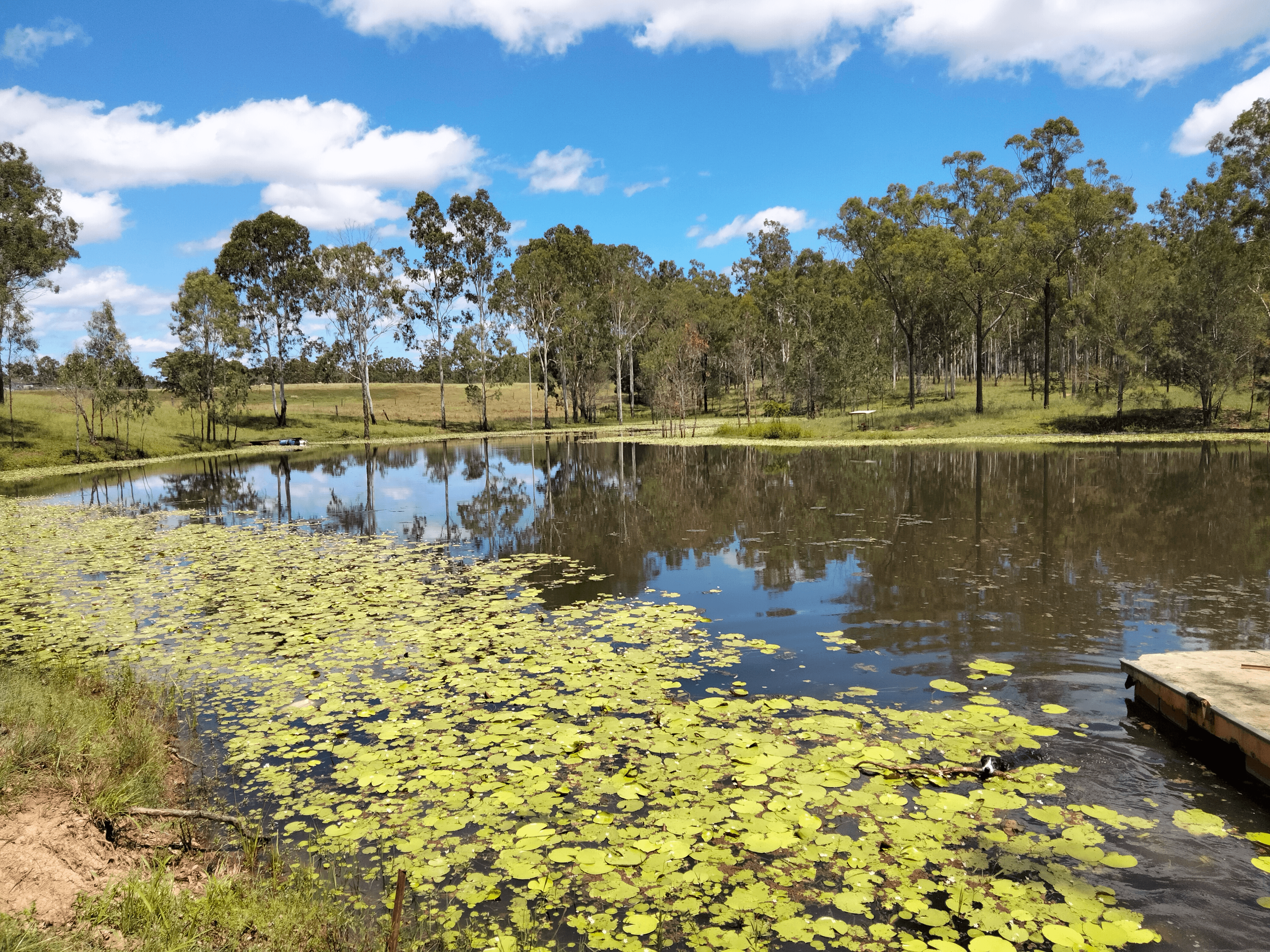 83 Hofsetter Road, MORGANVILLE, QLD 4671