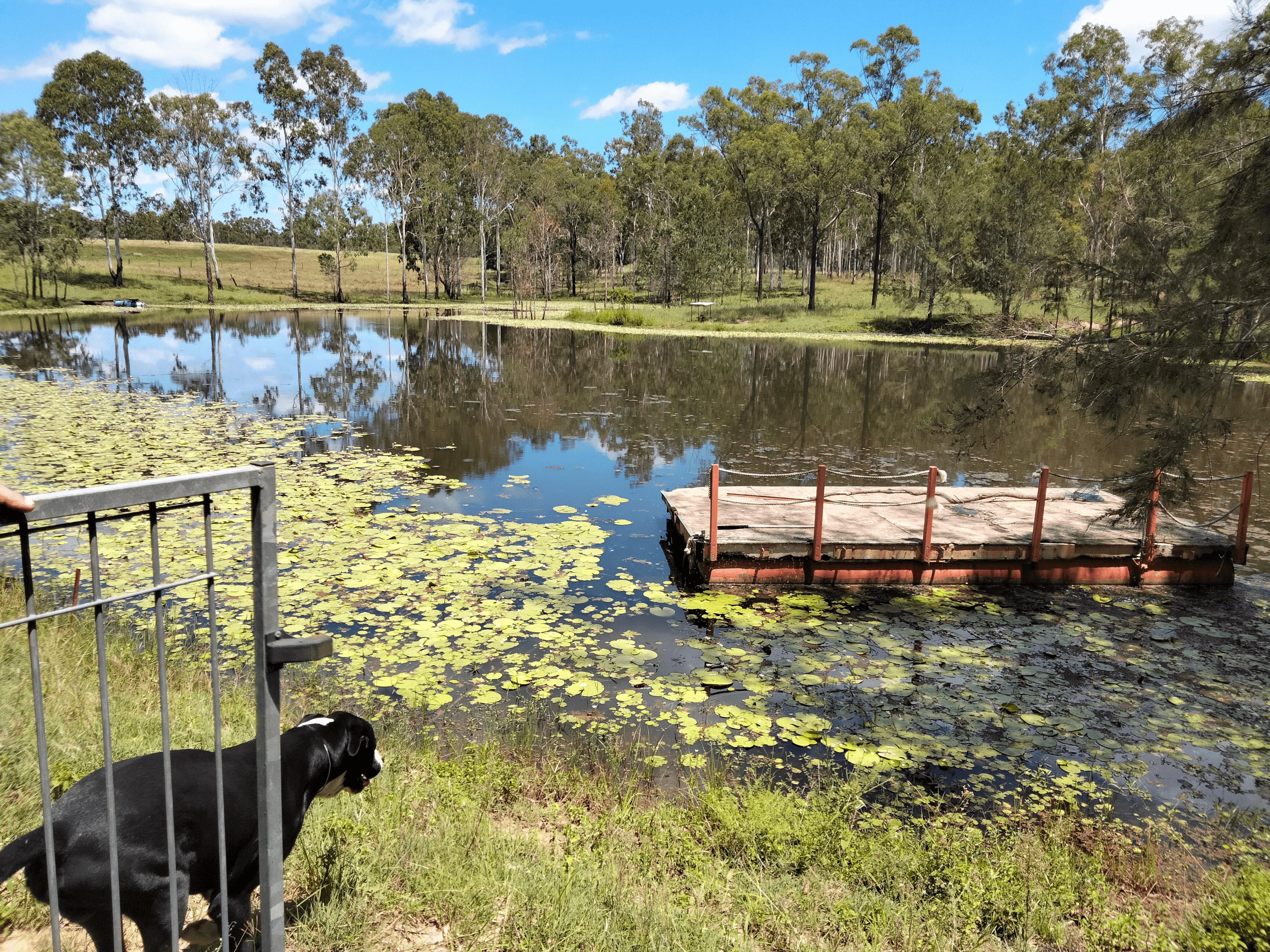 83 Hofsetter Road, MORGANVILLE, QLD 4671