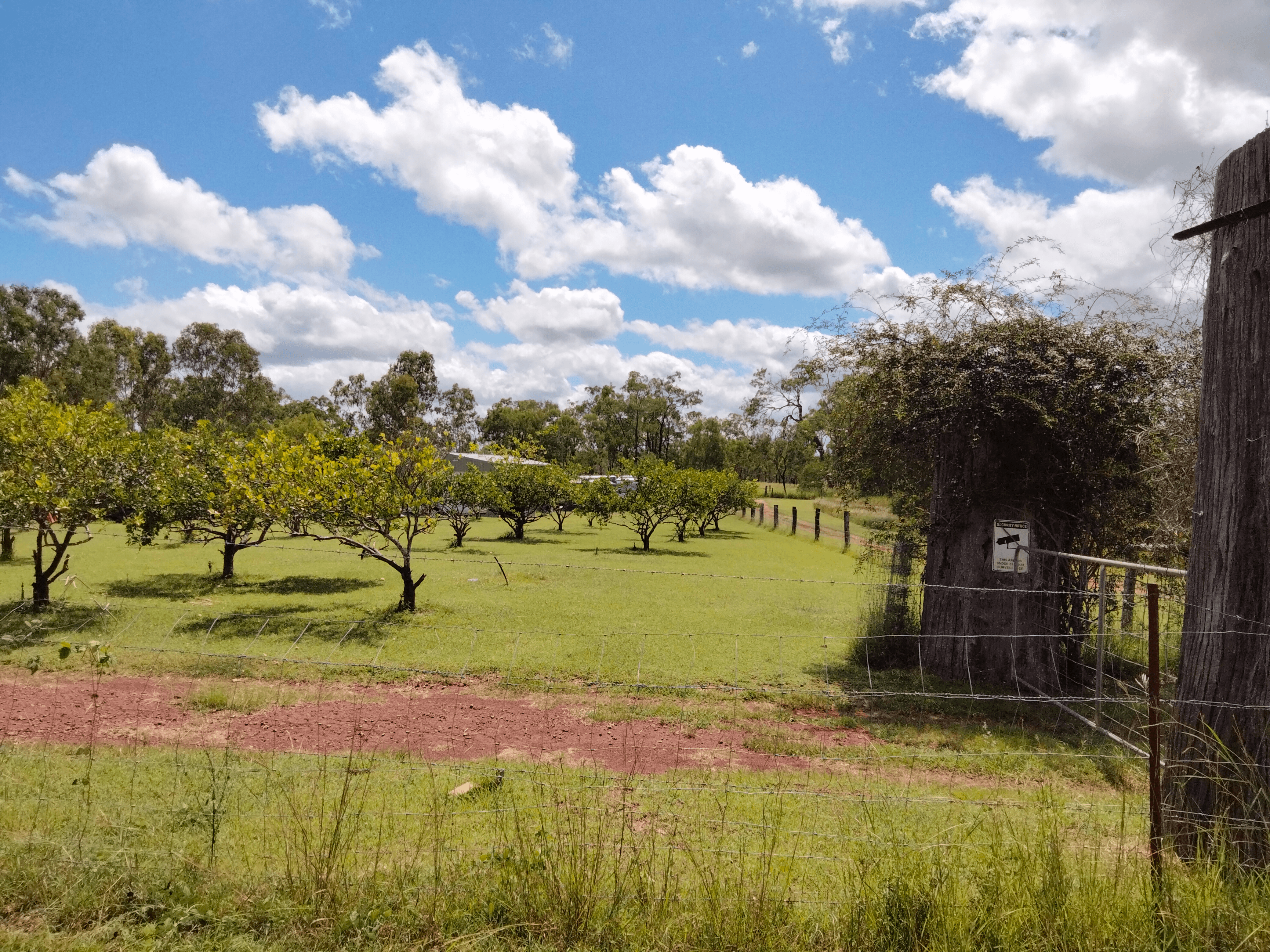 83 Hofsetter Road, MORGANVILLE, QLD 4671