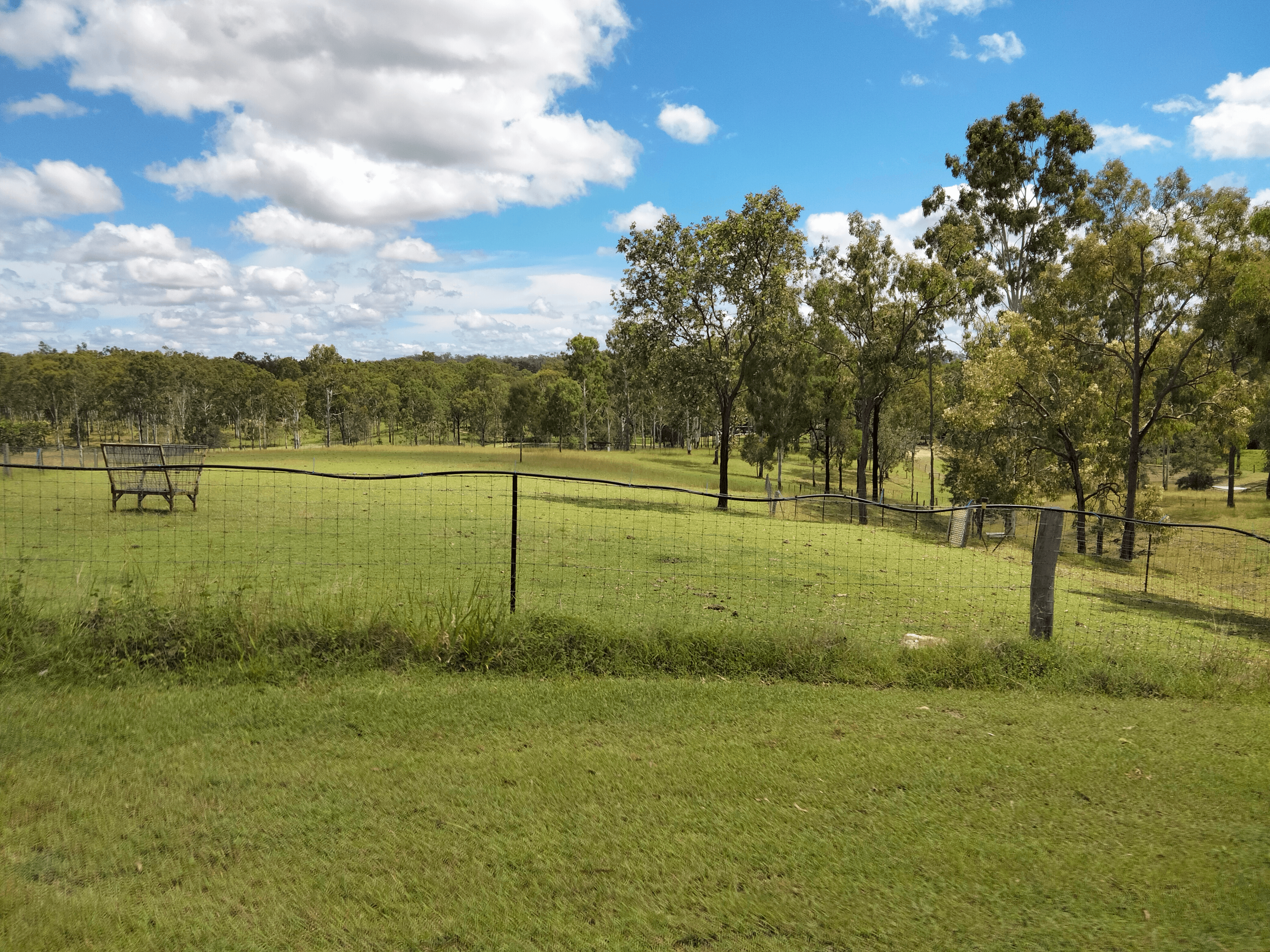 83 Hofsetter Road, MORGANVILLE, QLD 4671