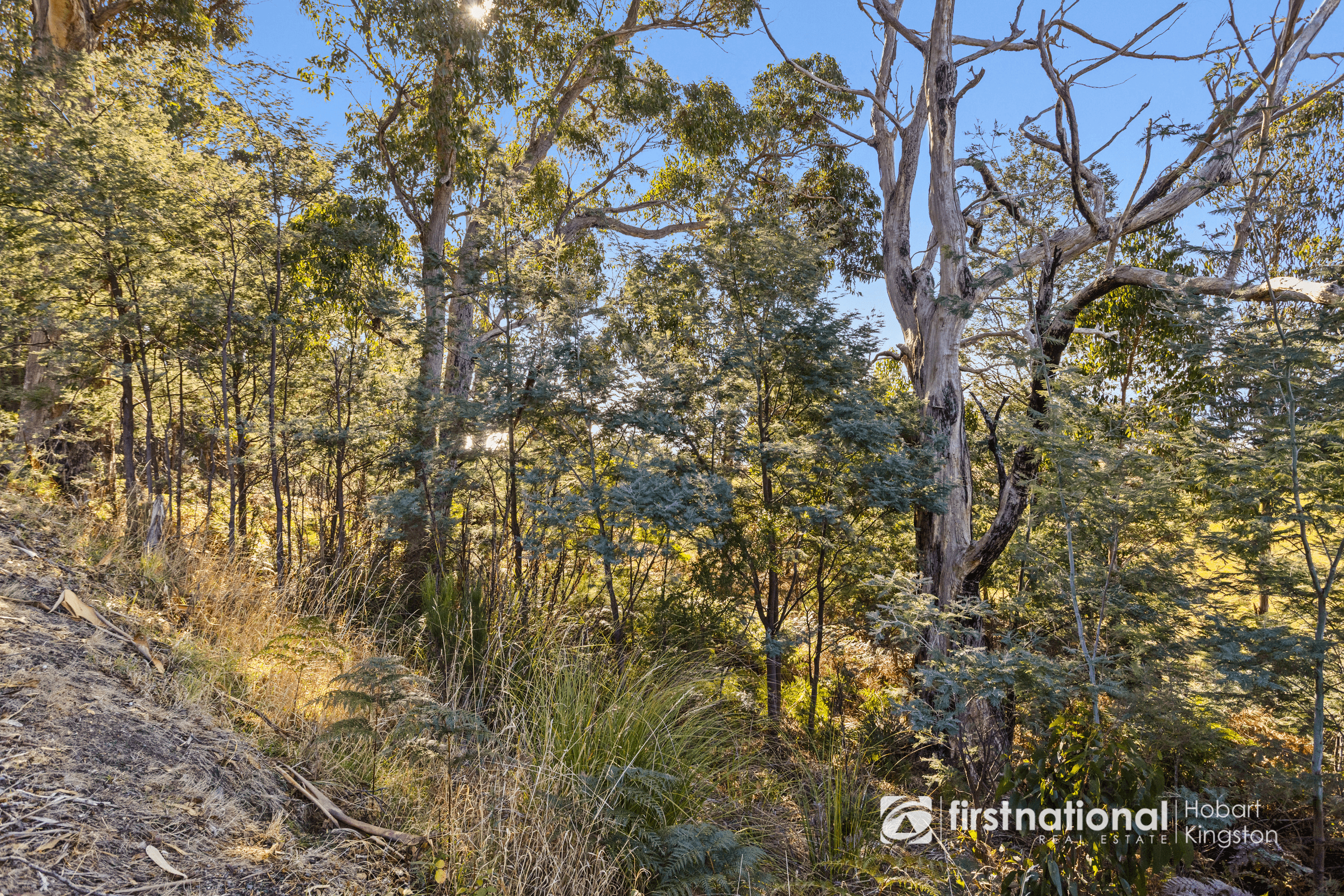 4783 Channel Highway, GORDON, TAS 7150
