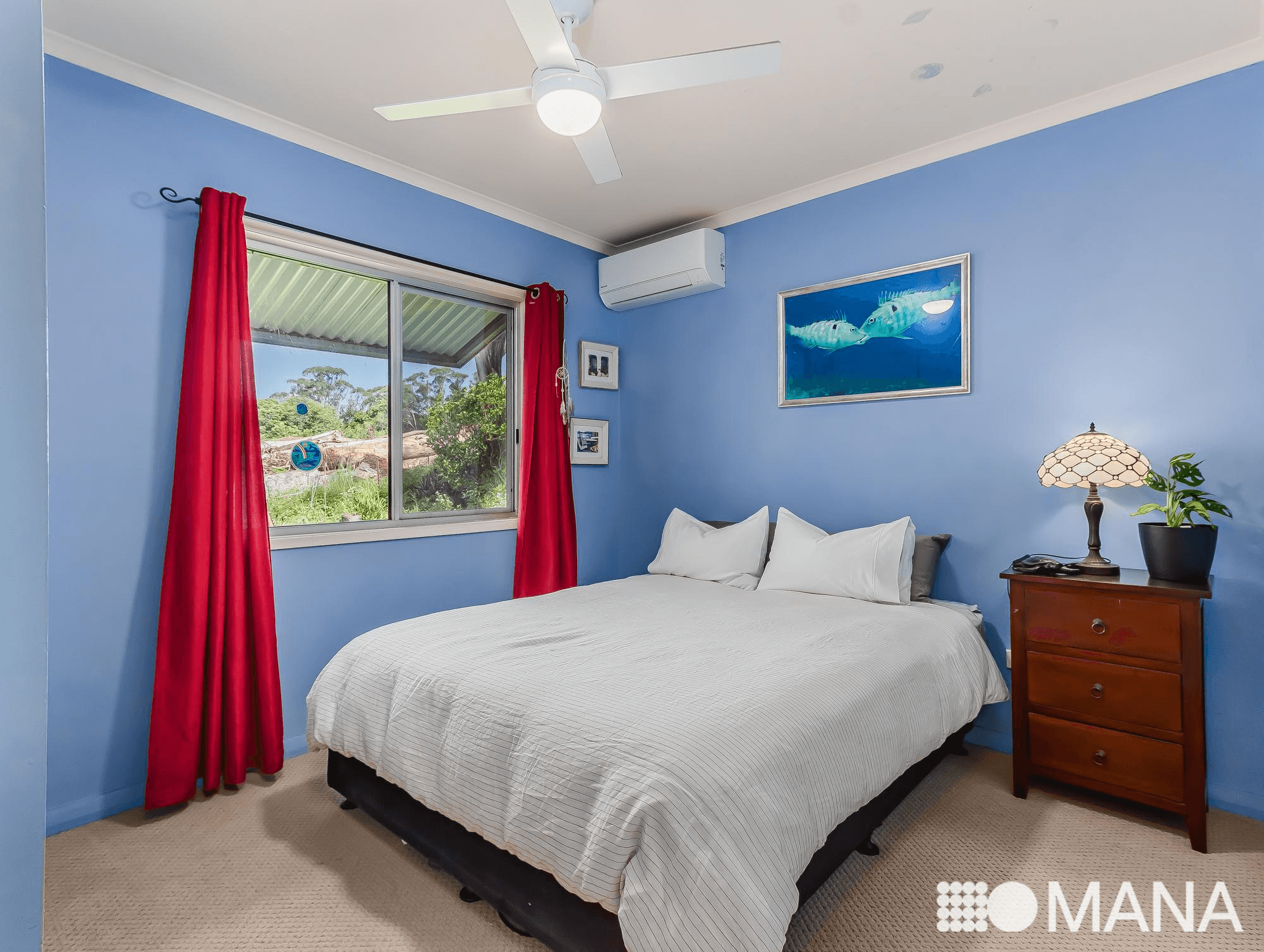 1 Tree Street, MURWILLUMBAH, NSW 2484