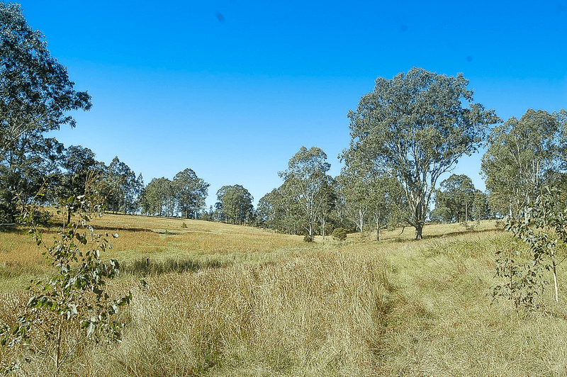 Lot 275 Paddys Flat Road, TABULAM, NSW 2469